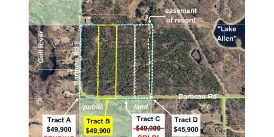 TractB Barbeau Road, First Assessment Twp, Brainerd