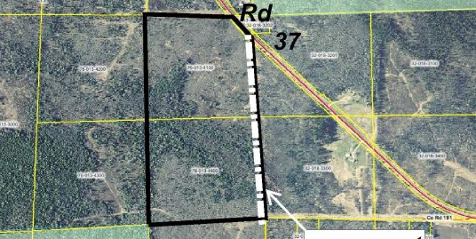 PRICE REDUCED NESE&SESE County Road 37, Unorg (146-26) Twp, Deer River