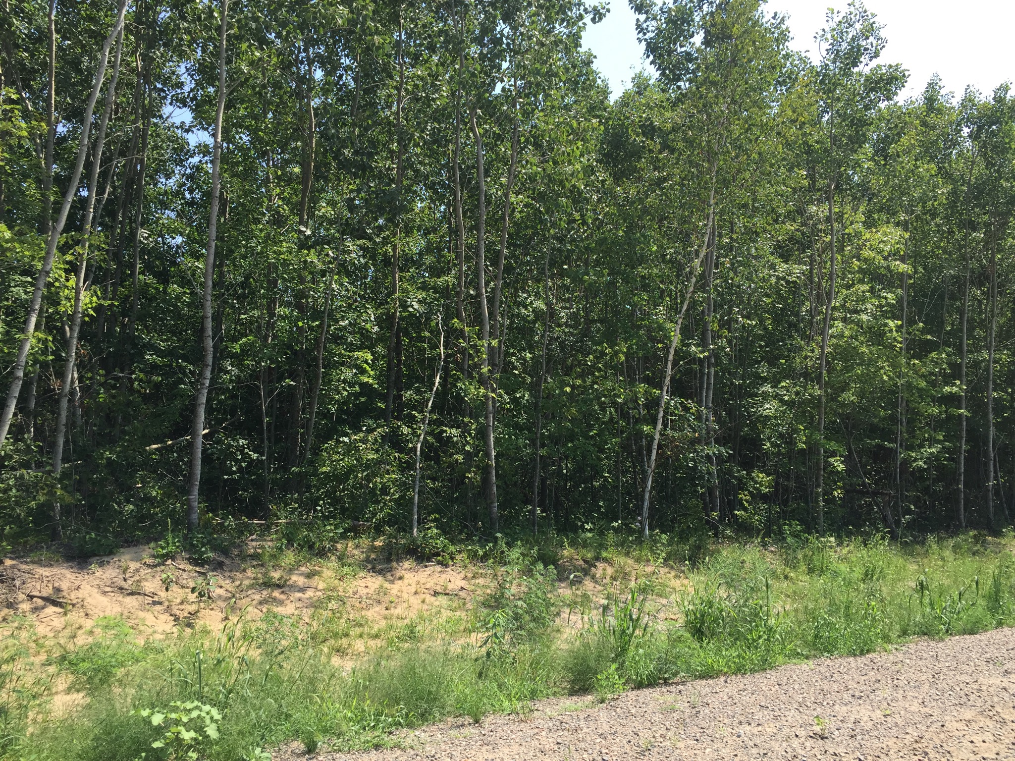PRICE REDUCED Tract O Executive Acres Road & E Tranquility Dr, 1st Assess Twp, Brainerd