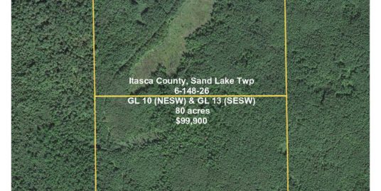 TBD Co. Rd. 4, Spring Lake, Itasca County, 6-148-26, GL10 (NE1/4 SW1/4) & GL13(SE1/4 SW1/4)