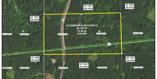 GL5(SWNW) & SENW, Co Rd 113 & Co Rd 37, Forest Twp, Becker Co