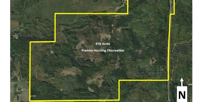 978 Acres Premier Hunting Land!  7508 350th St. Cushing, MN 56443