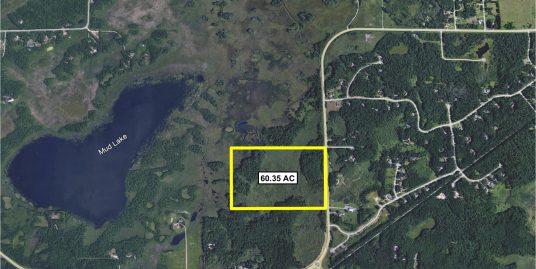 60.35 Acres, Wise Road, Brainerd, MN 56401